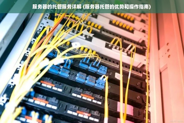 服务器的托管服务详解 (服务器托管的优势和操作指南)