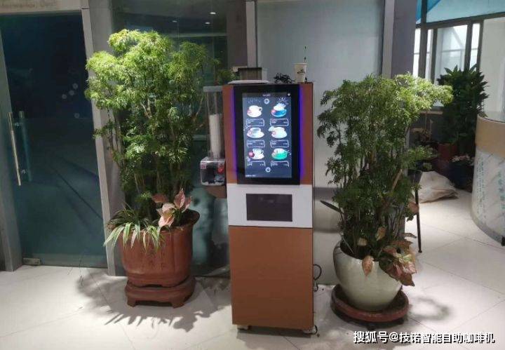 罗布乐思后室服务器是哪个？