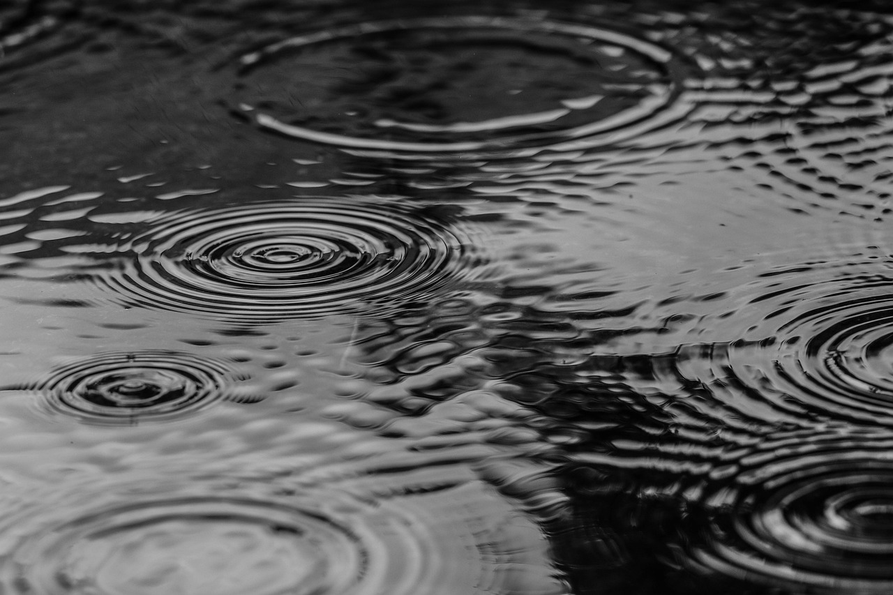 雨雨雨！气温坐上“过山车”，青岛天气有“反转”......
