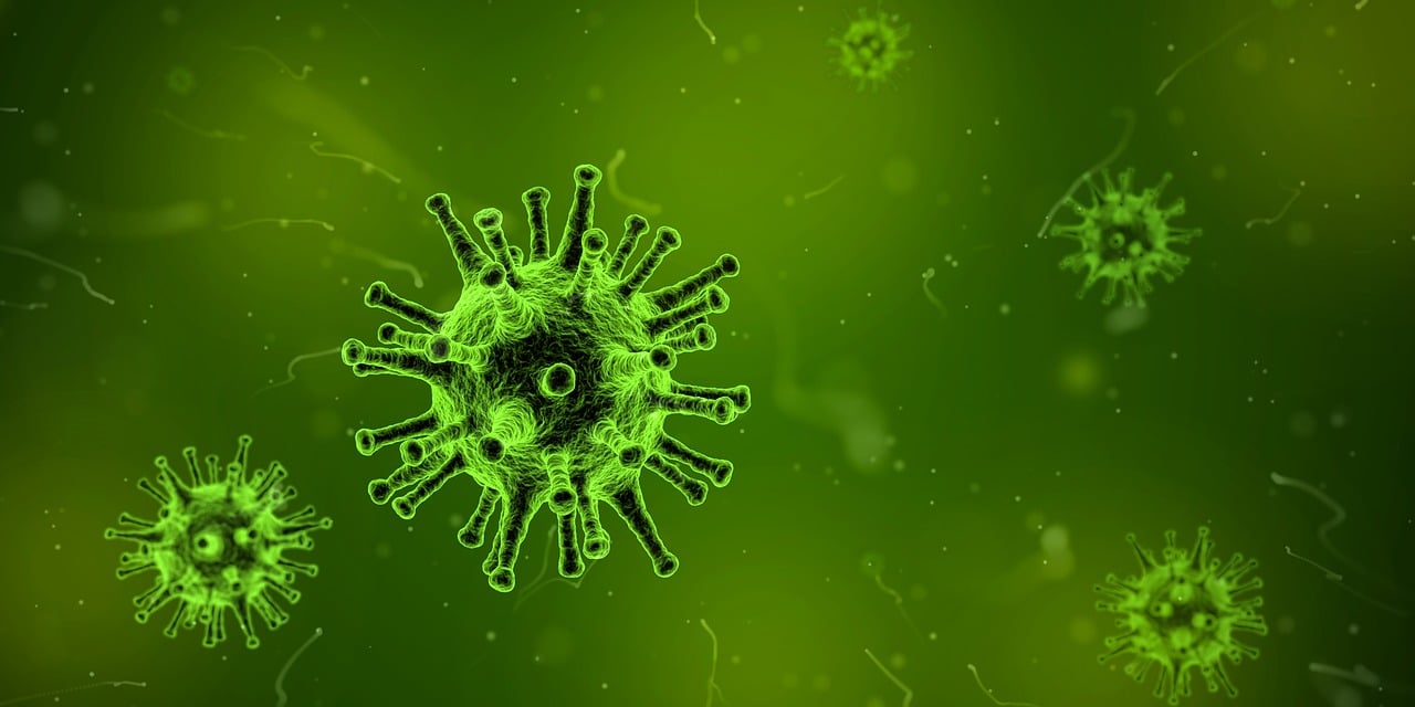 加强抗疫薄弱环节 各地暖心举措鼓励老年人接种新冠疫苗