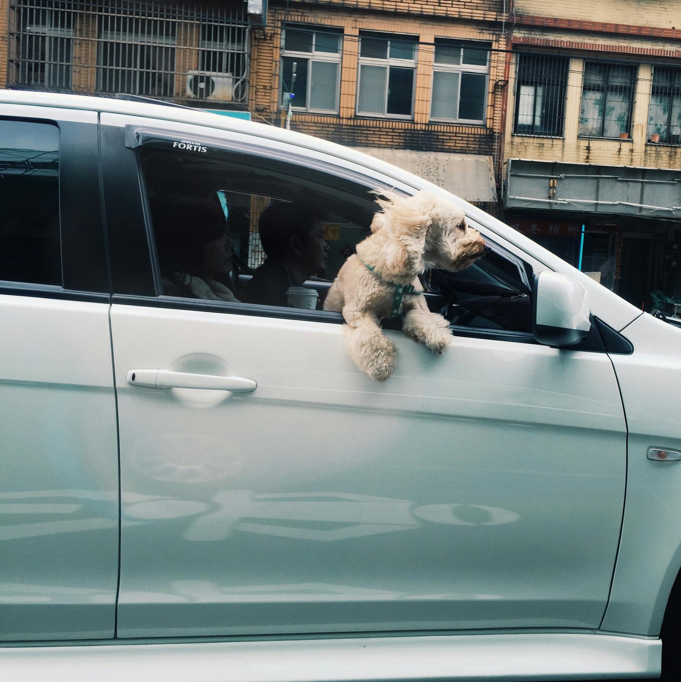 比亚迪股票现在还能买吗