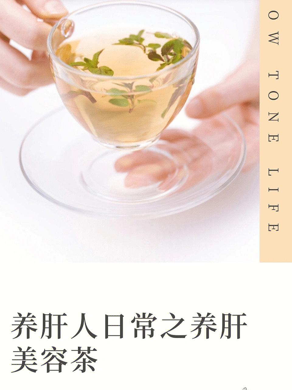 吃什么茶保肝护肝 平常喝什么茶保护肝