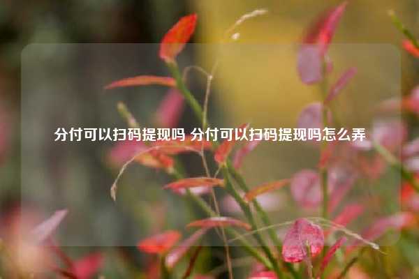 分付可以扫码提现吗 分付可以扫码提现吗怎么弄