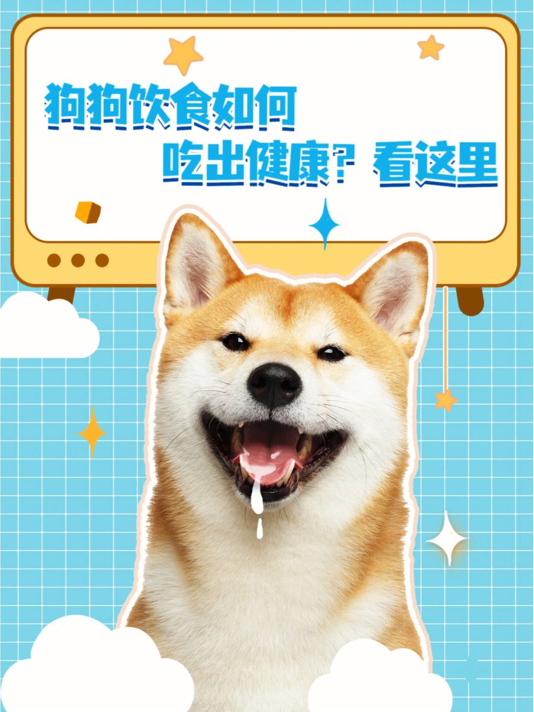 狗狗吃什么保肝护肾最好 狗狗吃什么保肝护肾最好的药