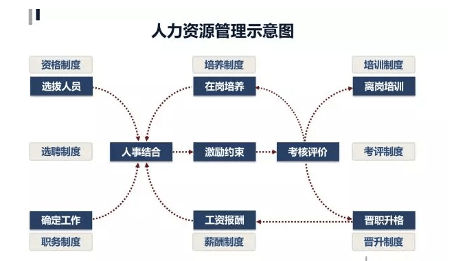 人力资源管理出来做什么 人力资源管理出来做什么的