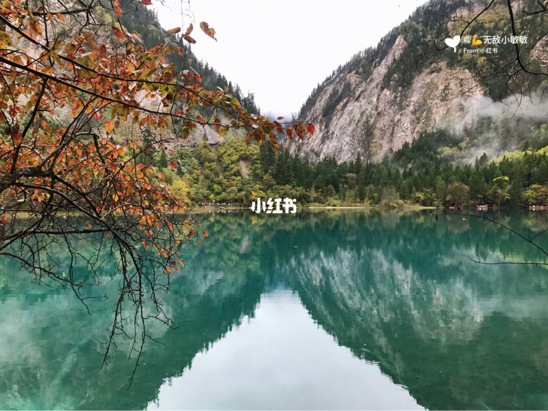 九寨沟一月旅游攻略 九寨沟一月旅游攻略图片