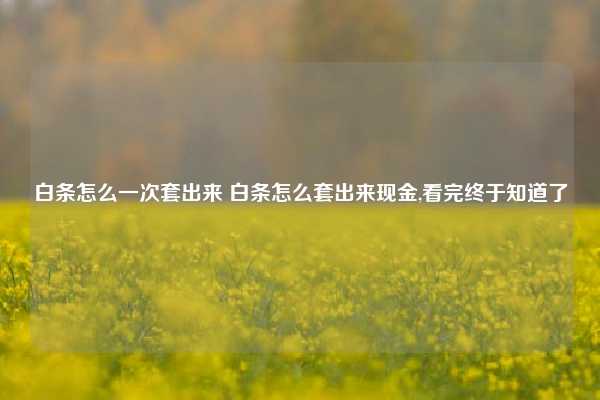 白条怎么一次套出来 白条怎么套出来现金,看完终于知道了