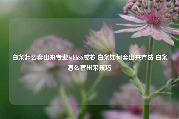 白条怎么套出来专业bthb56威芯 白条如何套出来方法 白条怎么套出来技巧