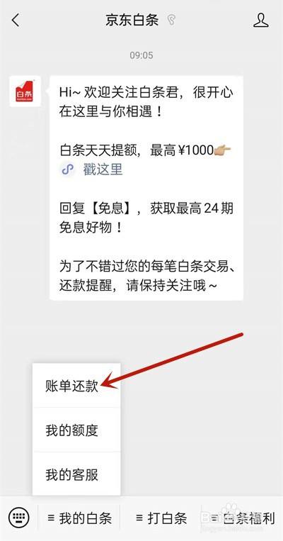 白条怎么从线下套出来还款 白条怎么从线下套出来还款呢
