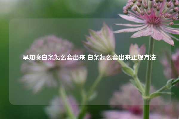 早知晓白条怎么套出来 白条怎么套出来正规方法
