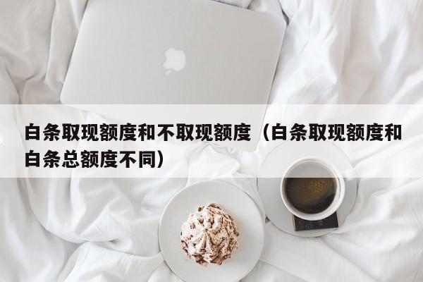 白条取现额度和不取现额度（白条取现额度和白条总额度不同）
