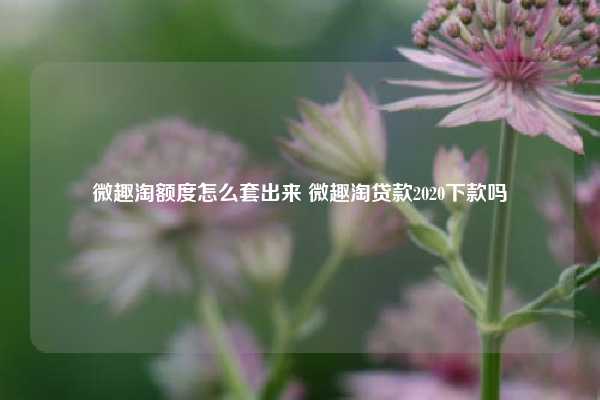 微趣淘额度怎么套出来 微趣淘贷款2020下款吗