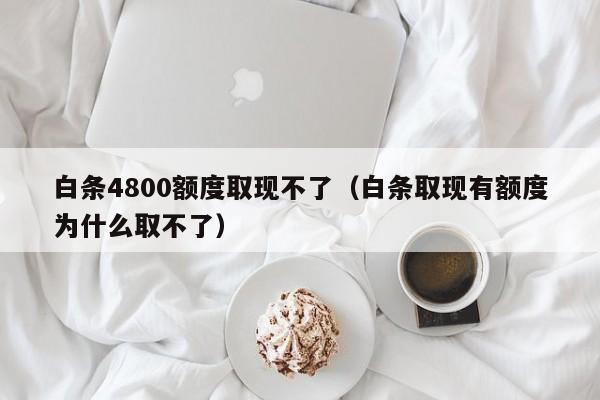 白条4800额度取现不了（白条取现有额度为什么取不了）