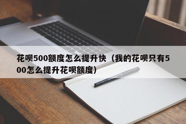 花呗500额度怎么提升快（我的花呗只有500怎么提升花呗额度）