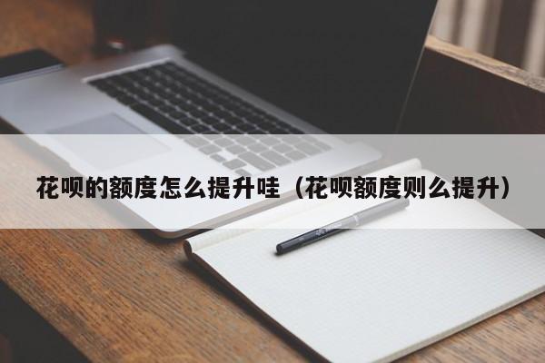 花呗的额度怎么提升哇（花呗额度则么提升）
