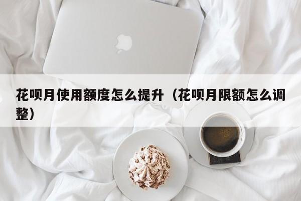 花呗月使用额度怎么提升（花呗月限额怎么调整）