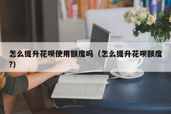 怎么提升花呗使用额度吗（怎么提升花呗额度?）