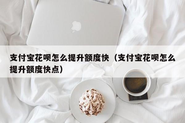 支付宝花呗怎么提升额度快（支付宝花呗怎么提升额度快点）
