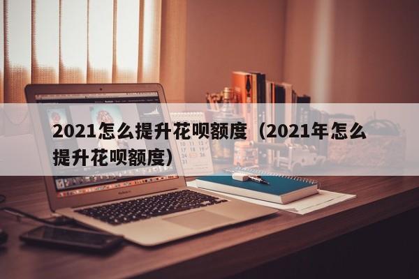 2021怎么提升花呗额度（2021年怎么提升花呗额度）