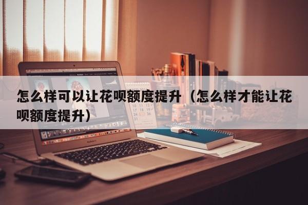 怎么样可以让花呗额度提升（怎么样才能让花呗额度提升）