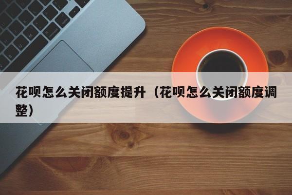 花呗怎么关闭额度提升（花呗怎么关闭额度调整）