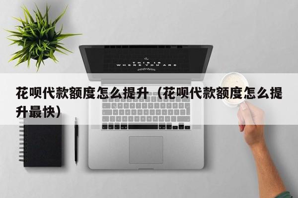 花呗代款额度怎么提升（花呗代款额度怎么提升最快）