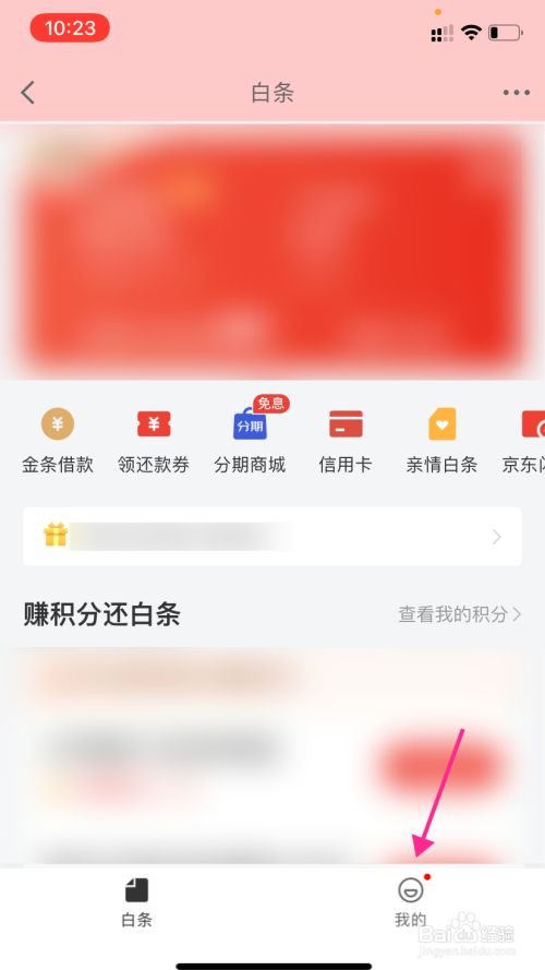 京东白条不分期怎么还款日 京东白条不分期怎么还款日期