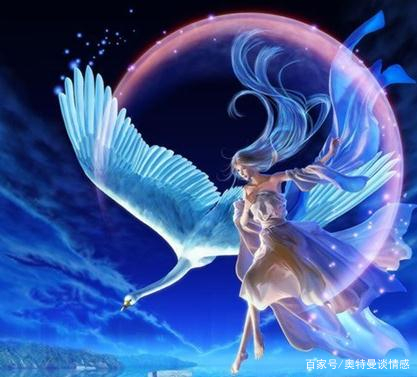 处女座的性格测试分析男 