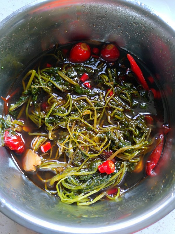 香菜辣椒怎么做好吃 香菜辣椒怎么做好吃视频