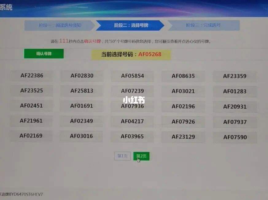 新能源汽车临时牌打印(新能源汽车申请临时牌照)