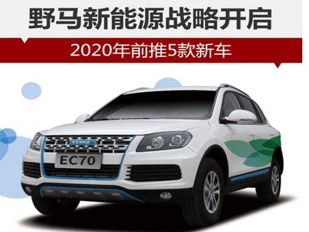 新能源汽车会员加盟代理(新能源汽车会员加盟代理怎么样)