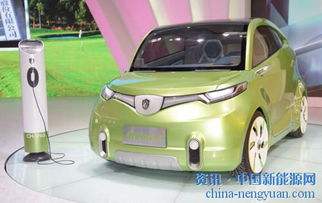 进口新能源电动汽车(进口新能源电动汽车价格)